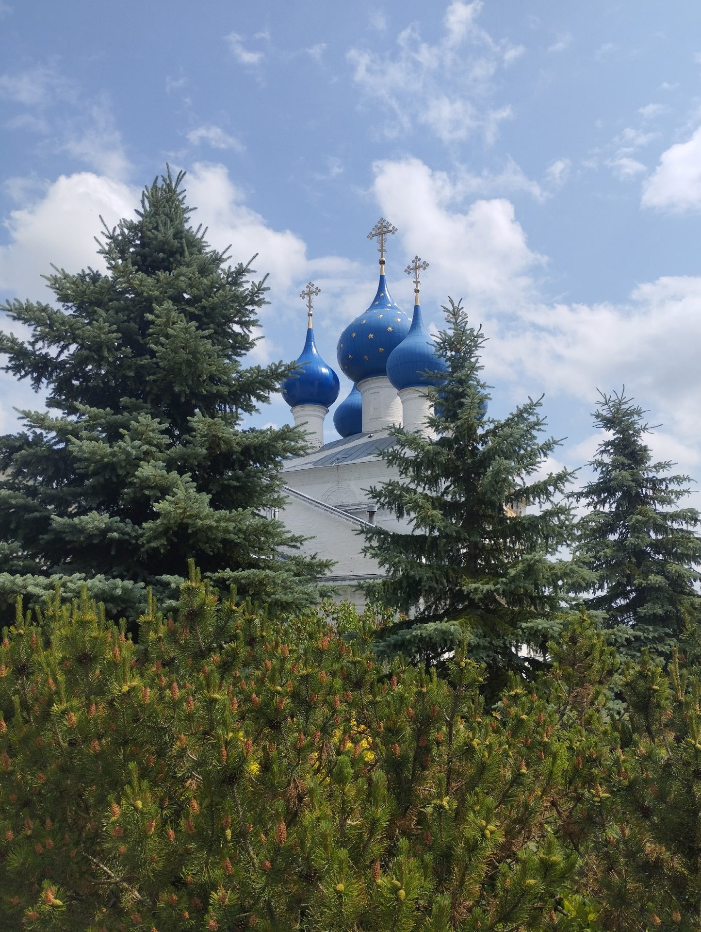 Храм Воскресения Христова в селе Бурмакино сегодня: купола и кресты возвращены